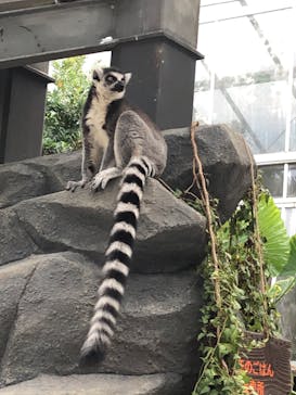 神戸どうぶつ王国に投稿された画像（2020/9/13）