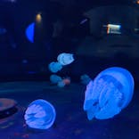 株式会社Gに投稿された画像（2020/9/13）