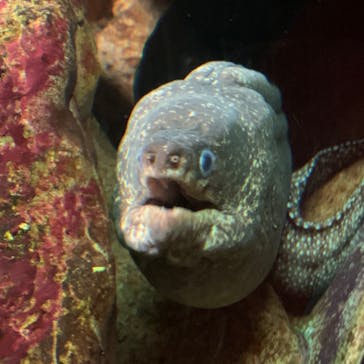 株式会社Gに投稿された画像（2020/9/13）