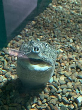 株式会社Gに投稿された画像（2020/9/13）