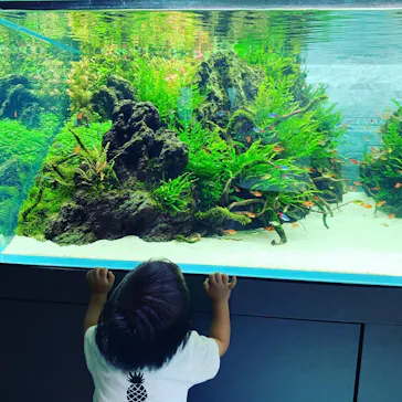 すみだ水族館に投稿された画像（2020/9/13）