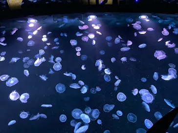 すみだ水族館に投稿された画像（2020/9/13）