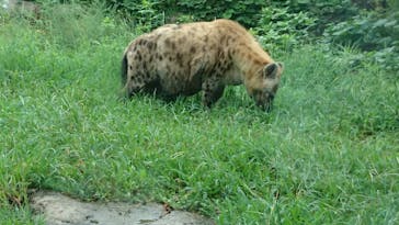 天王寺動物園に投稿された画像（2020/9/13）