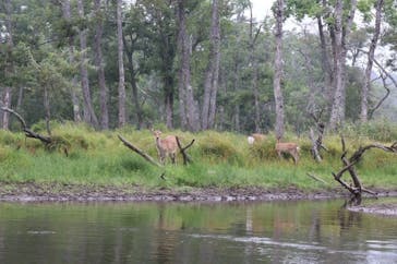 レイクサイドとうろに投稿された画像（2020/9/13）