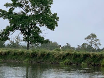 レイクサイドとうろに投稿された画像（2020/9/13）