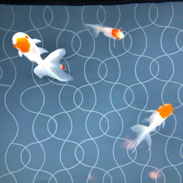 すみだ水族館に投稿された画像（2020/9/13）