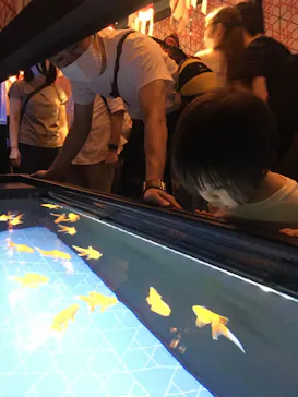 すみだ水族館に投稿された画像（2020/9/13）