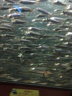 株式会社Gに投稿された画像（2020/9/13）