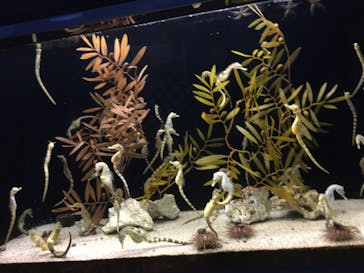 株式会社Gに投稿された画像（2020/9/13）