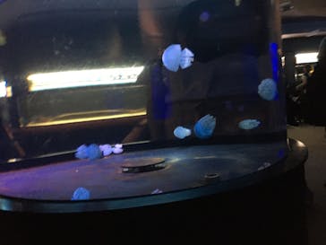 株式会社Gに投稿された画像（2020/9/13）