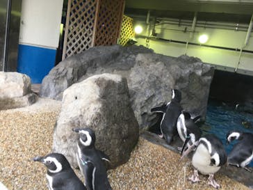 株式会社Gに投稿された画像（2020/9/13）