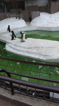 天王寺動物園に投稿された画像（2020/9/13）