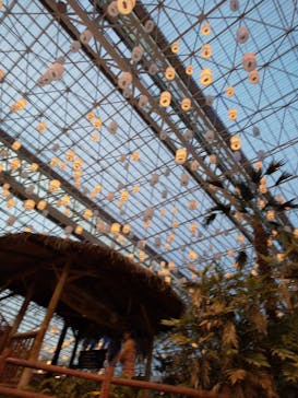 東京サマーランドに投稿された画像（2020/9/14）