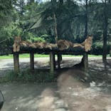 群馬サファリパークに投稿された画像（2020/9/14）
