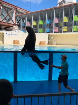 伊豆・三津シーパラダイスに投稿された画像（2020/9/14）