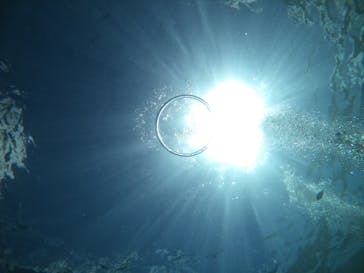 武藤潜水に投稿された画像（2020/9/14）