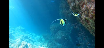 青の洞窟専門店　沖縄ダイビングショップ和に投稿された画像（2020/9/14）