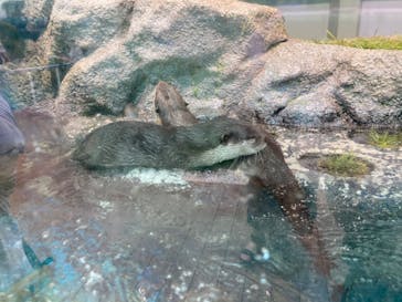 サンシャイン水族館に投稿された画像（2020/9/14）