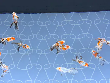 すみだ水族館に投稿された画像（2020/9/14）