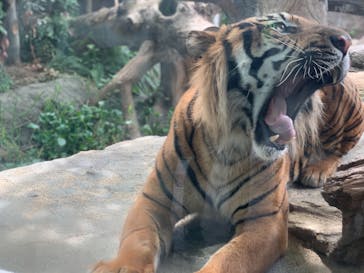 神戸どうぶつ王国に投稿された画像（2020/9/14）