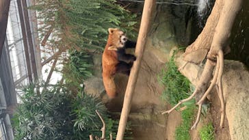 神戸どうぶつ王国に投稿された画像（2020/9/14）