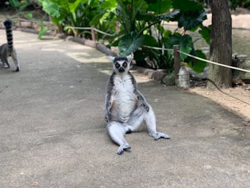 神戸どうぶつ王国に投稿された画像（2020/9/14）