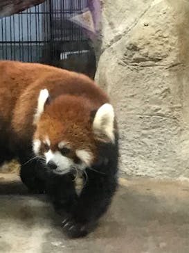 天王寺動物園に投稿された画像（2020/9/14）