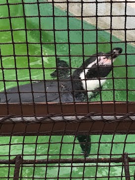 天王寺動物園に投稿された画像（2020/9/14）