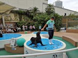 サンシャイン水族館に投稿された画像（2020/9/14）