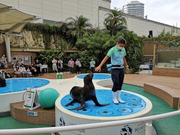 サンシャイン水族館に投稿された画像（2020/9/14）