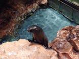 すみだ水族館に投稿された画像（2020/9/14）