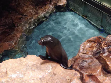 すみだ水族館に投稿された画像（2020/9/14）
