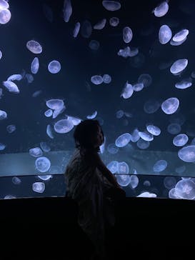 サンシャイン水族館に投稿された画像（2020/9/14）