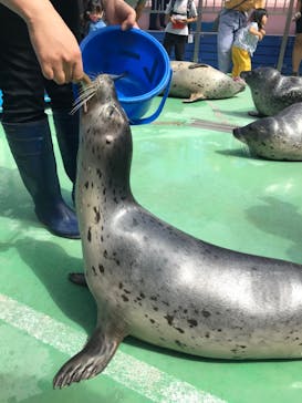 ゼロ距離水族館 伊勢シーパラダイスに投稿された画像（2020/9/14）