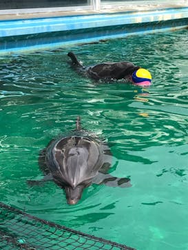 ゼロ距離水族館 伊勢シーパラダイスに投稿された画像（2020/9/14）