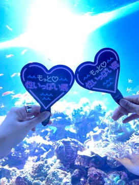 サンシャイン水族館に投稿された画像（2020/9/14）