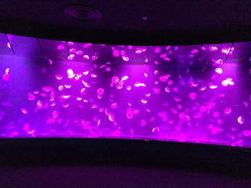 サンシャイン水族館に投稿された画像（2020/9/14）