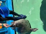 伊勢夫婦岩ふれあい水族館シーパラダイス（伊勢シーパラダイス）に投稿された画像（2020/9/14）