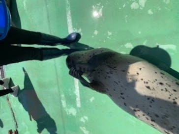 ゼロ距離水族館 伊勢シーパラダイスに投稿された画像（2020/9/14）