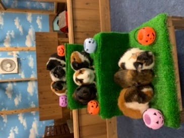 ゼロ距離水族館 伊勢シーパラダイスに投稿された画像（2020/9/14）