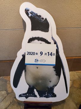 サンシャイン水族館に投稿された画像（2020/9/14）