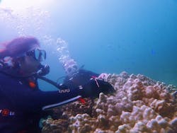 海底少年に投稿された画像（2020/9/14）