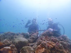 海底少年に投稿された画像（2020/9/14）