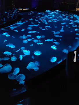 すみだ水族館に投稿された画像（2020/9/14）