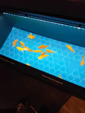 すみだ水族館に投稿された画像（2020/9/14）