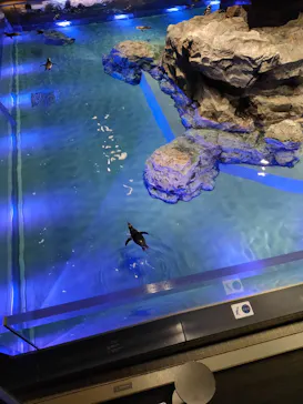 すみだ水族館に投稿された画像（2020/9/14）