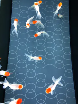 すみだ水族館に投稿された画像（2020/9/15）