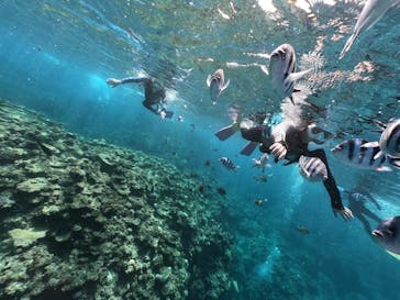 DIVING-SHOP SUNSに投稿された画像（2020/9/15）