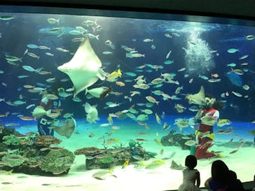 サンシャイン水族館に投稿された画像（2020/9/15）