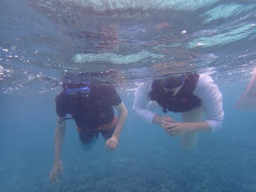 石垣島 ADVENTURE PiPi（イシガキジマアドベンチャーピピ）に投稿された画像（2020/9/15）